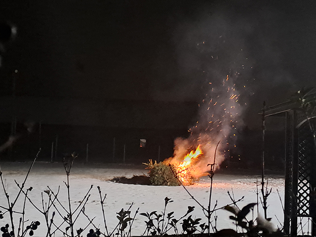 Weihnachtsbaum verbrennen in Biehlen 2026